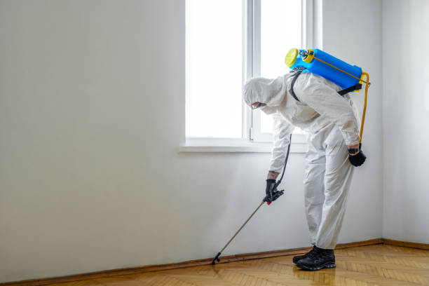 Best Pest Control for Multi-Family Homes  in Silver Creek, NY